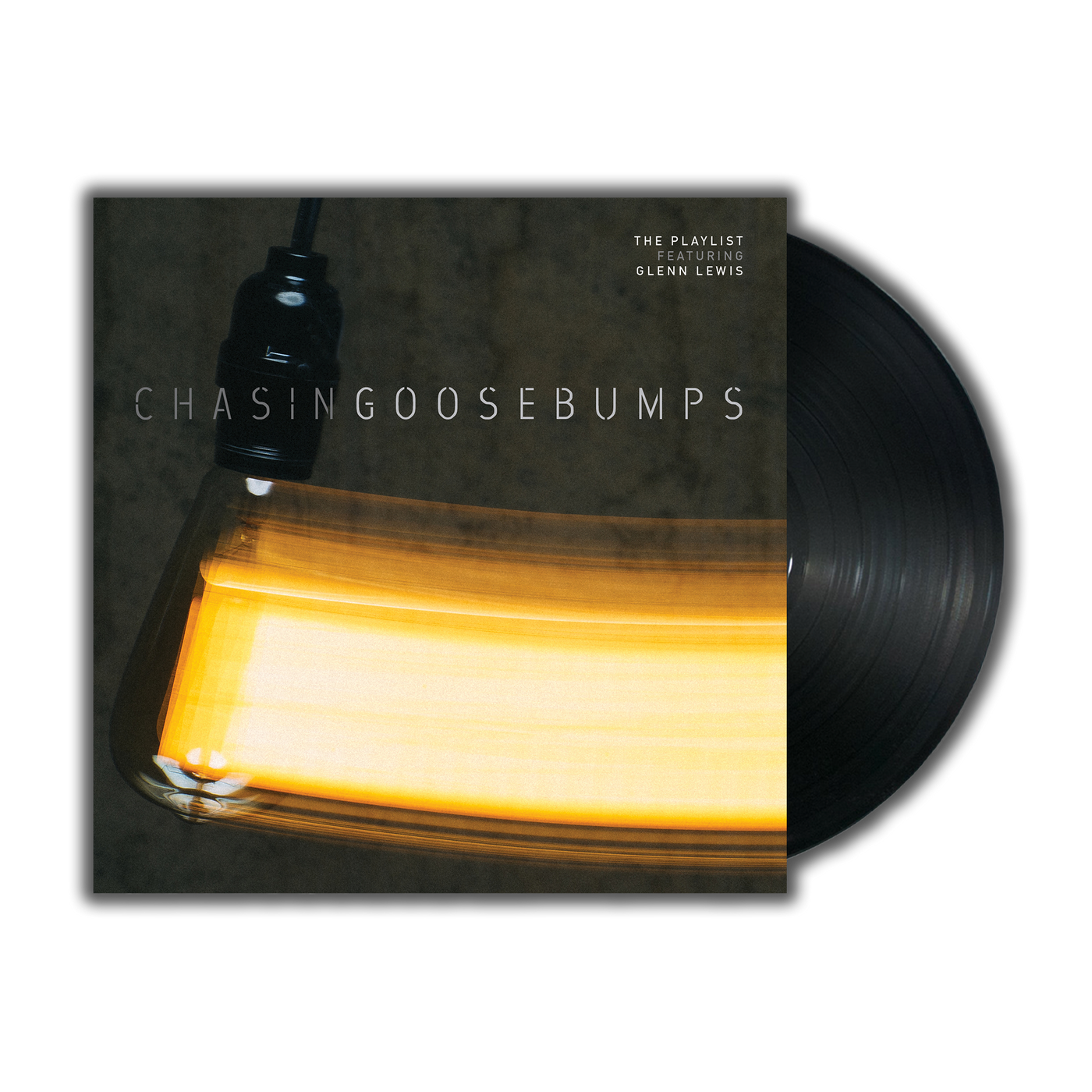 Chasing Goosebumps Double LP